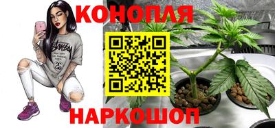 ГАЛЛЮЦИНОГЕННЫЕ ГРИБЫ Кулебаки