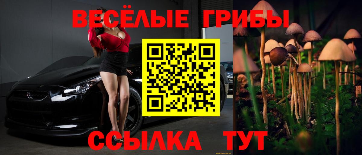 Галлюциногенные грибы Psilocybine cubensis Вязьма